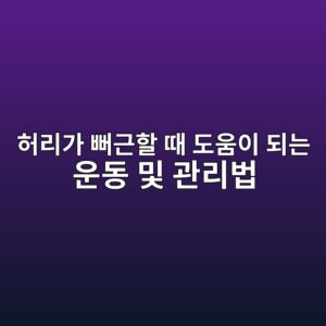 ed9788eba6aceab080 ebbb90eab7bced95a0 eb958c eb8f84ec9b80ec9db4 eb9098eb8a94 ec9ab4eb8f99 ebb08f eab480eba6acebb295 1788142363