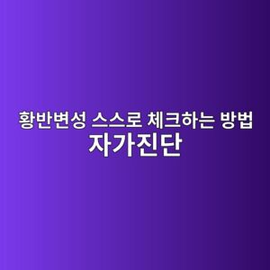 ed99a9ebb098ebb380ec84b1 ec8aa4ec8aa4eba19c ecb2b4ed81aced9598eb8a94 ebb0a9ebb295 ec9e90eab080eca784eb8ba8 1788132811